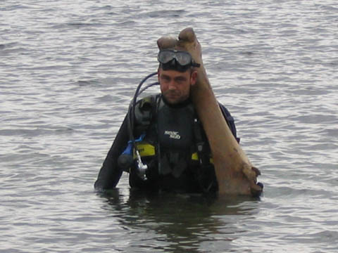 CREW0554.jpg (40041 bytes)