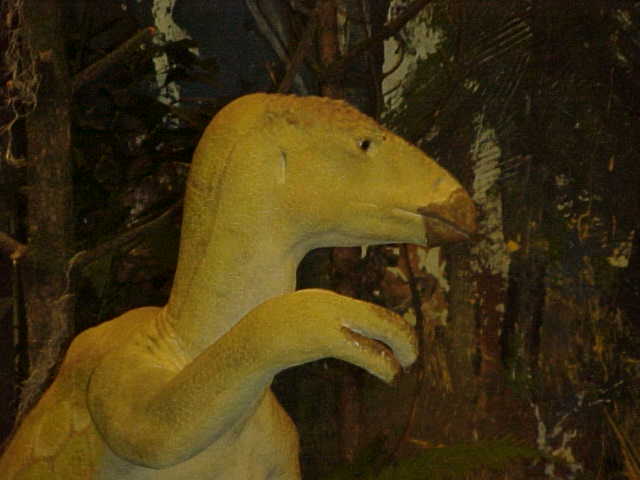 bree 055.jpg (27735 bytes)